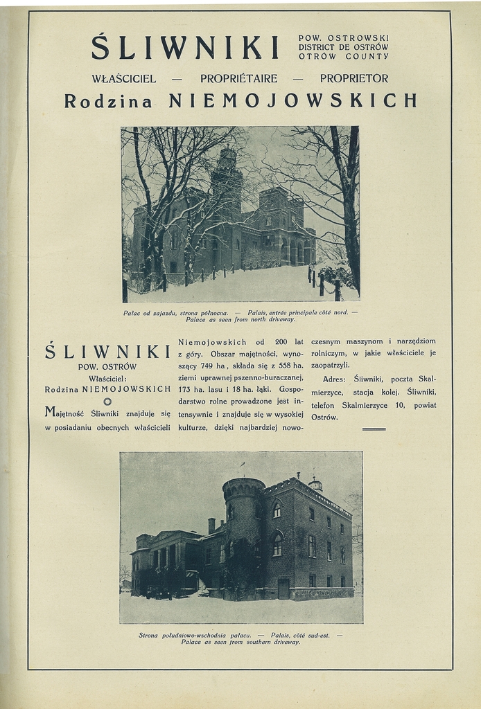 192 sliwniki.jpg